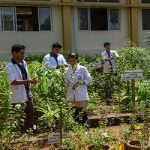 Medicinal Gardens