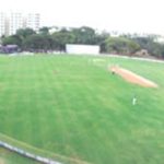 Cricket Pitch
